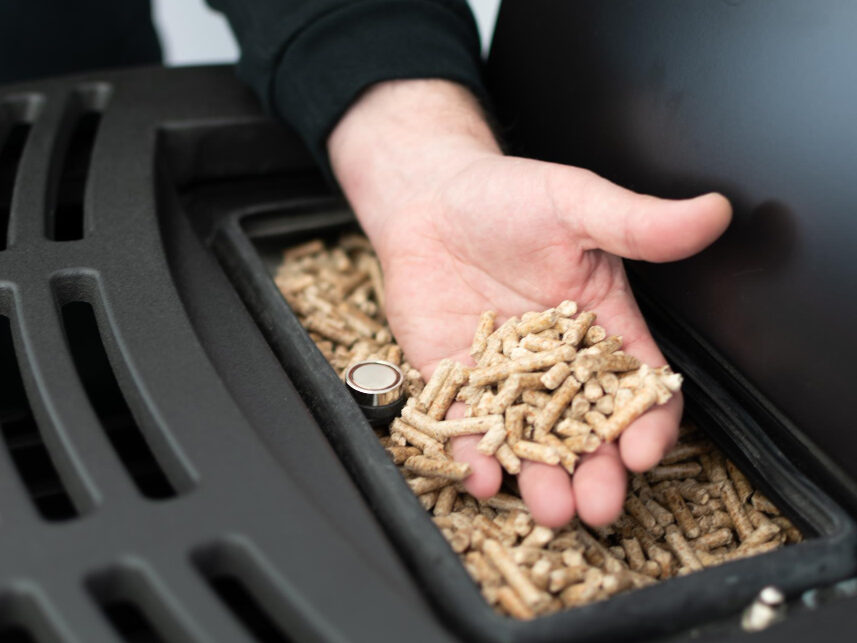 Biomasseanlage Holzpellets